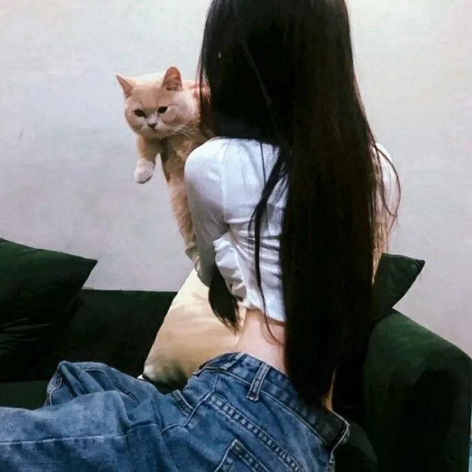合成波的崛起