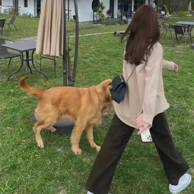 第一军规